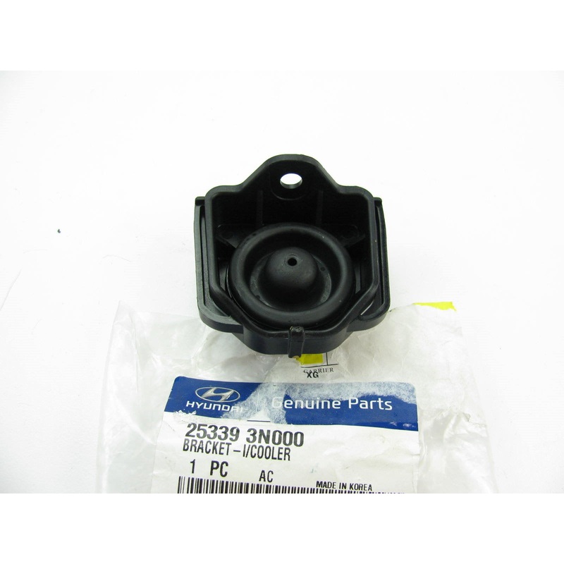 UPPER LEFT Radiator Mount Bracket OEM For 2011-2016 Equus 5.0L V8 253393N000